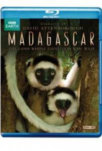 Мадагаскар  (мини-сериал) смотреть отнлайн