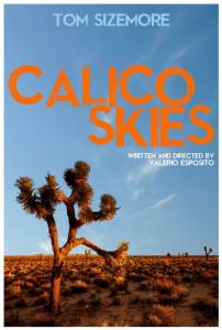 Calico Skies